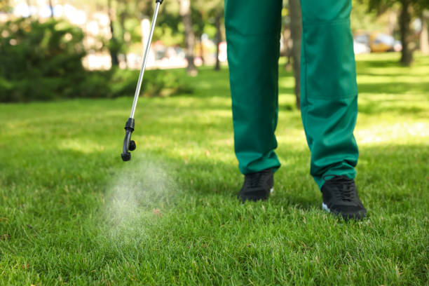 Flea Control Services in Hemlock Farms, PA