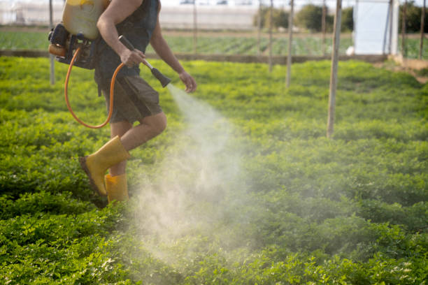 Trusted Hemlock Farms, PA Pest Control Experts