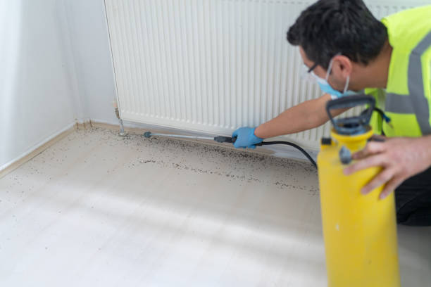 Best Bed Bug Extermination  in Hemlock Farms, PA